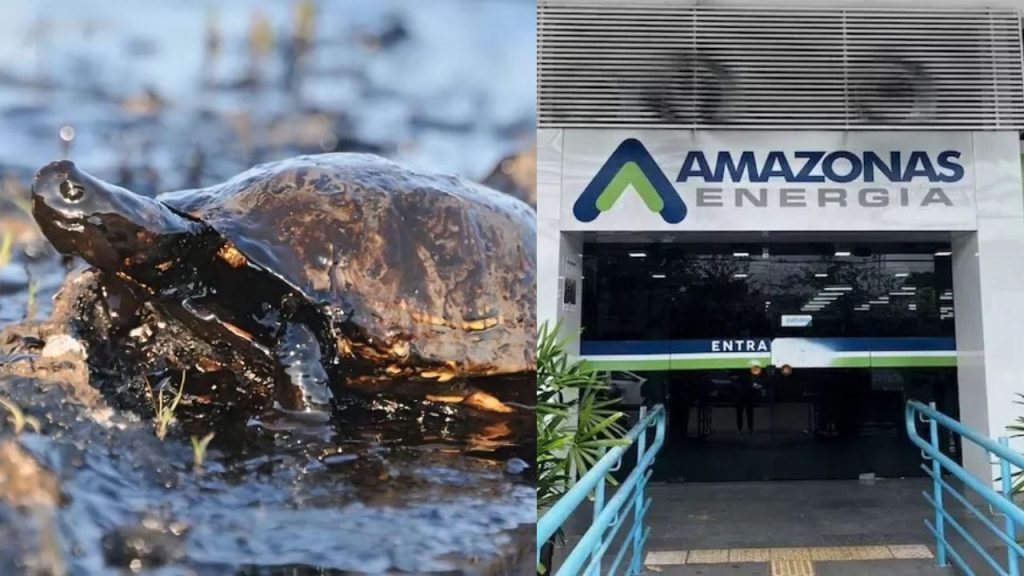 Ministério Público move ação contra a Amazonas Energia por descarte de óleo em rio