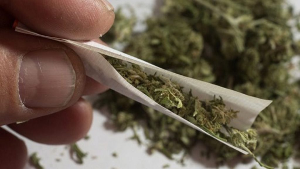 STF mantém descriminalização do porte de maconha para uso pessoal