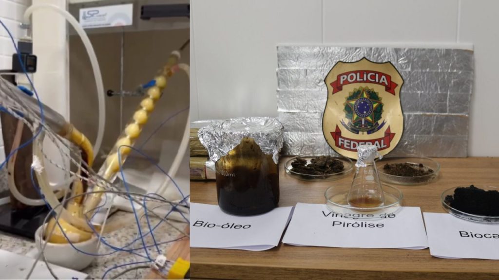 Projeto da Polícia Federal transforma maconha apreendida em biocombustível no Pará