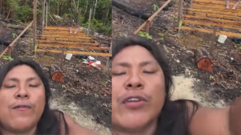 'F#d4-se a ONG': influenciador indígena afronta Funai e Ibama e diz vai derrubar área para criar gado e plantar soja