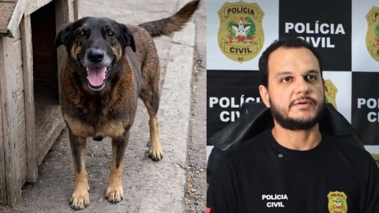 Caso Orelha: PC conclui inquérito com indiciamento de adultos e culpabilidade de menores